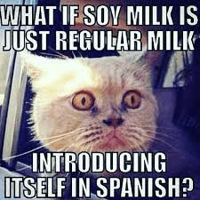 Tłumacz przysięgły angielskiego – szybkie i pewne tłumaczenia